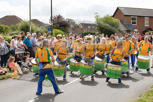 Hedge End Carnival-6