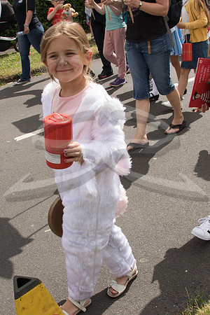 Hedge End Carnival-61