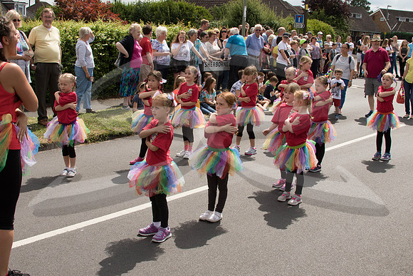 Hedge End Carnival-69