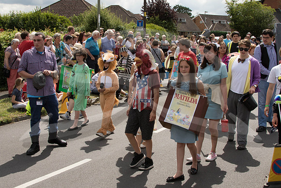 Hedge End Carnival-71