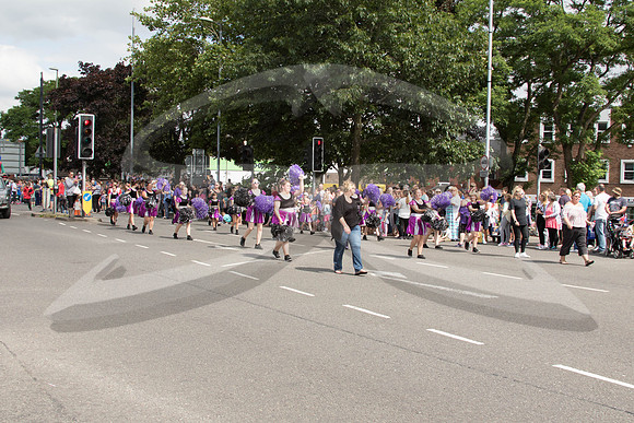 Hedge End Carnival-112