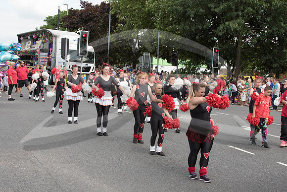 Hedge End Carnival-118