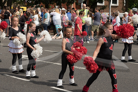 Hedge End Carnival-123