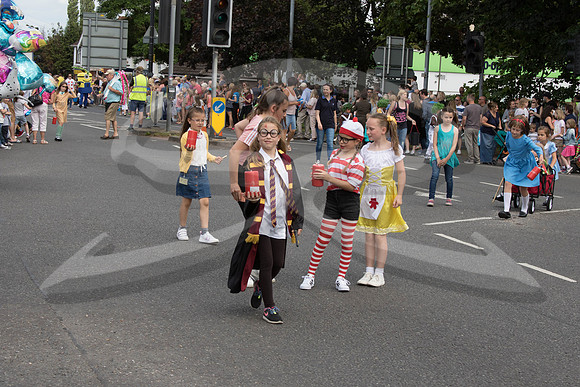 Hedge End Carnival-126