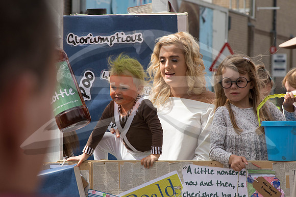 Hedge End Carnival-128