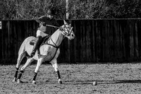 IMG_8734